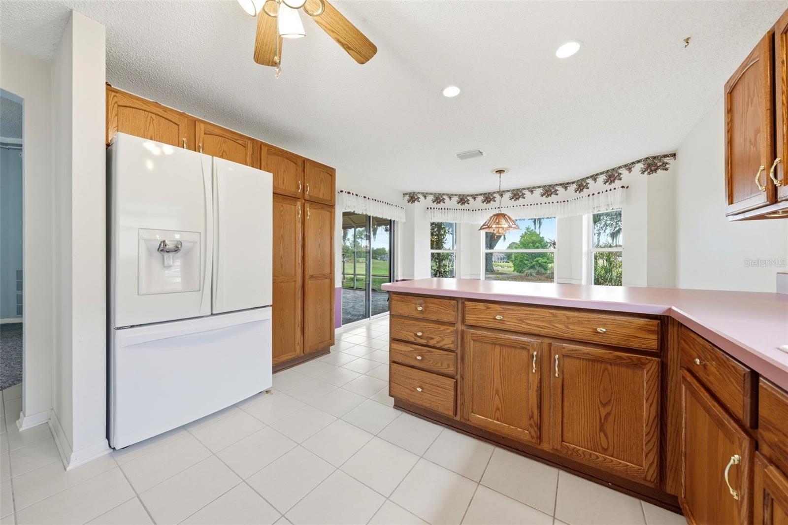 1344 AUGUSTINE DR, THE VILLAGES, FL, 32159