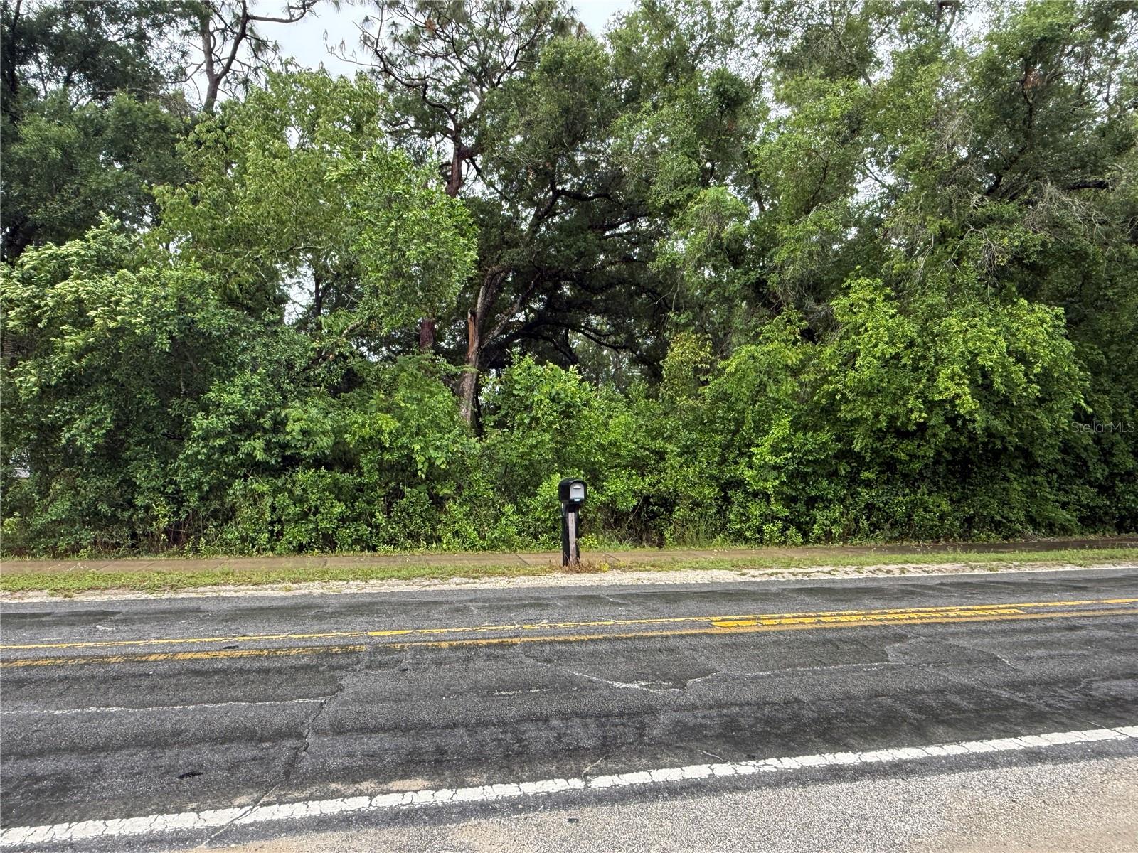 34184 RIDGE MANOR BLVD, DADE CITY, FL, 33523
