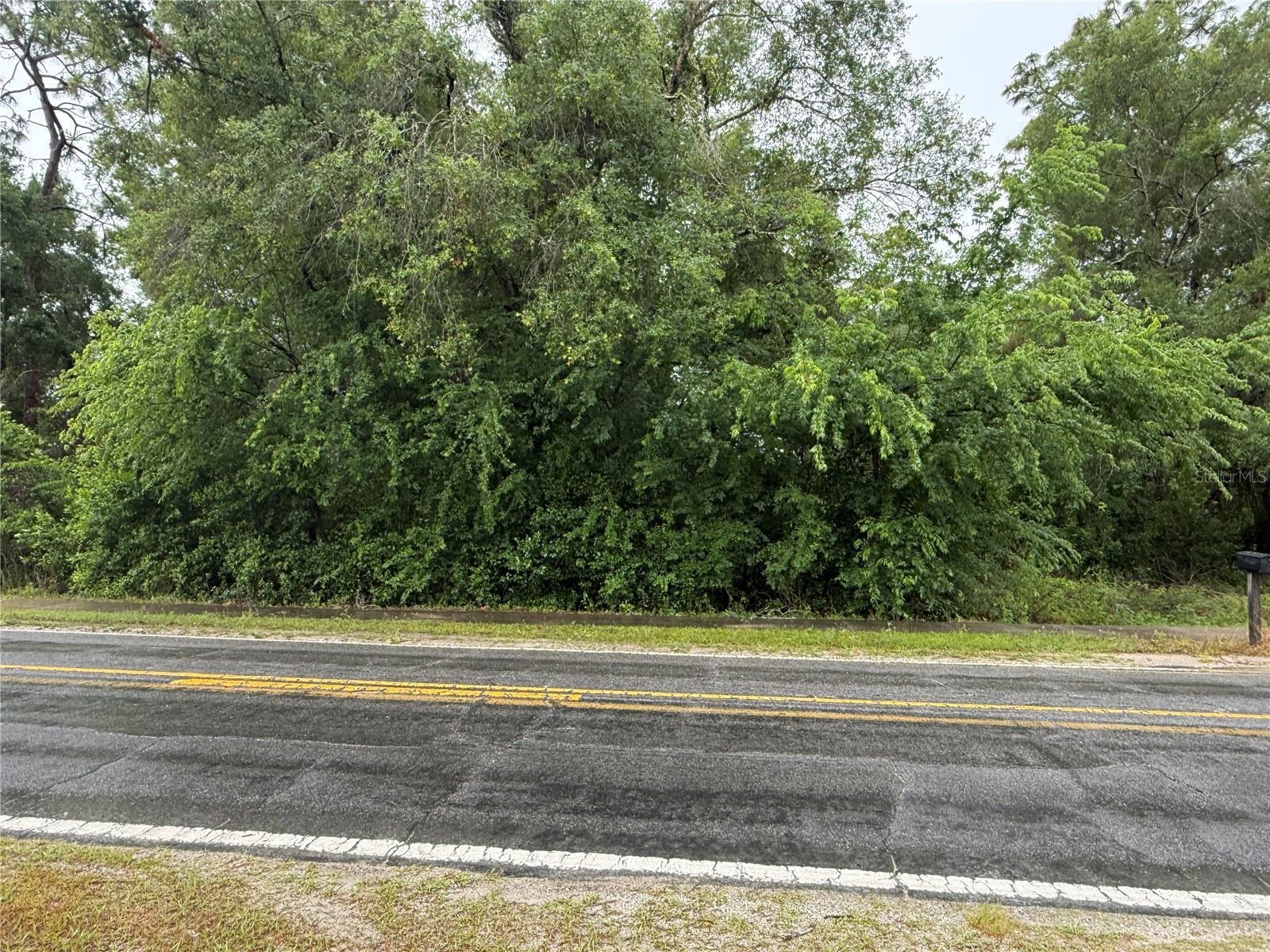 34184 RIDGE MANOR BLVD, DADE CITY, FL, 33523
