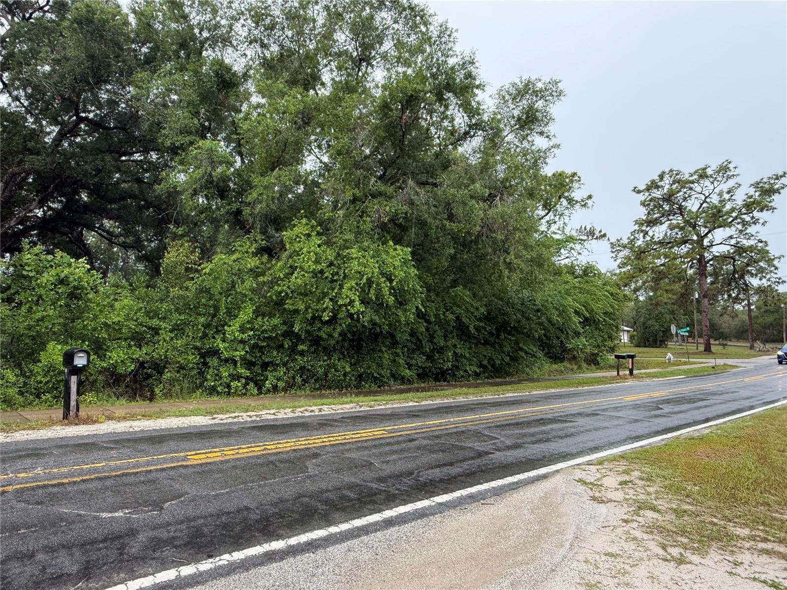 34184 RIDGE MANOR BLVD, DADE CITY, FL, 33523