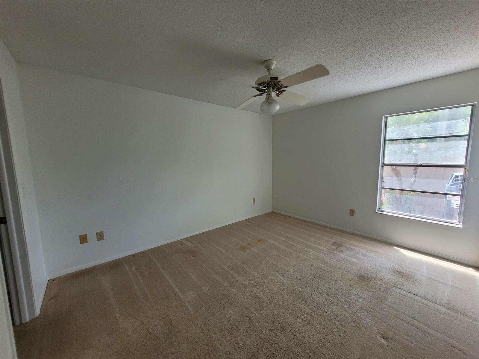 7125 SILVERMILL DR, TAMPA, FL, 33635