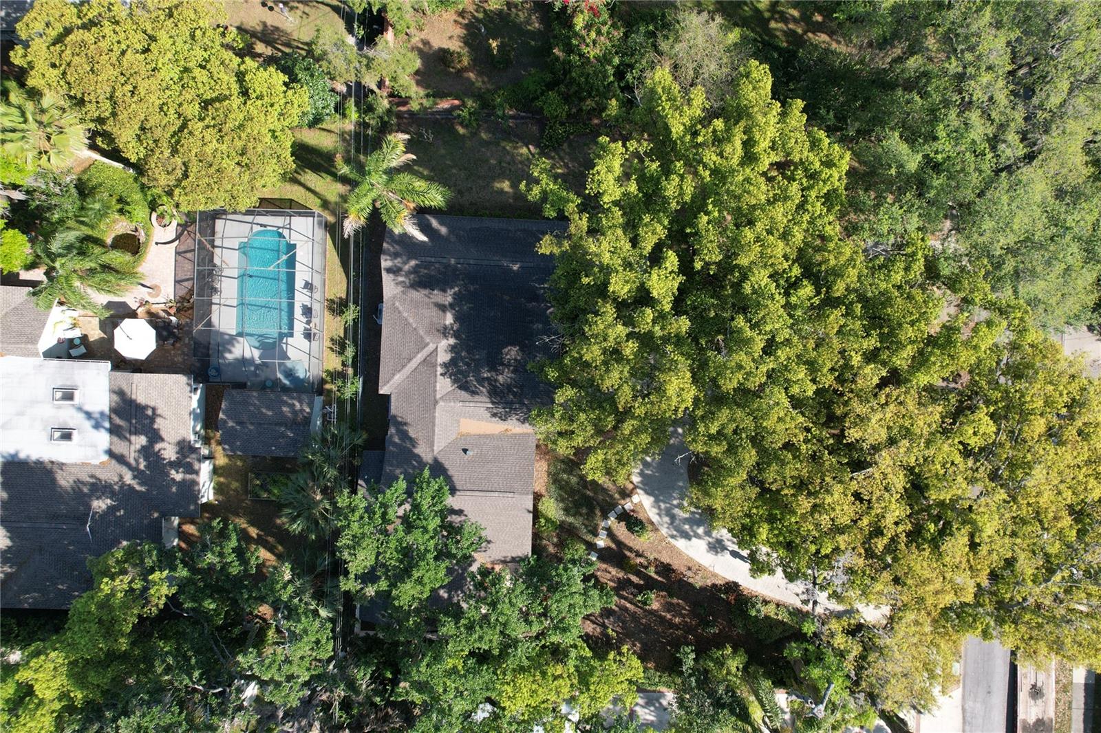 BEACON HILL, LAKELAND, FL, 33803