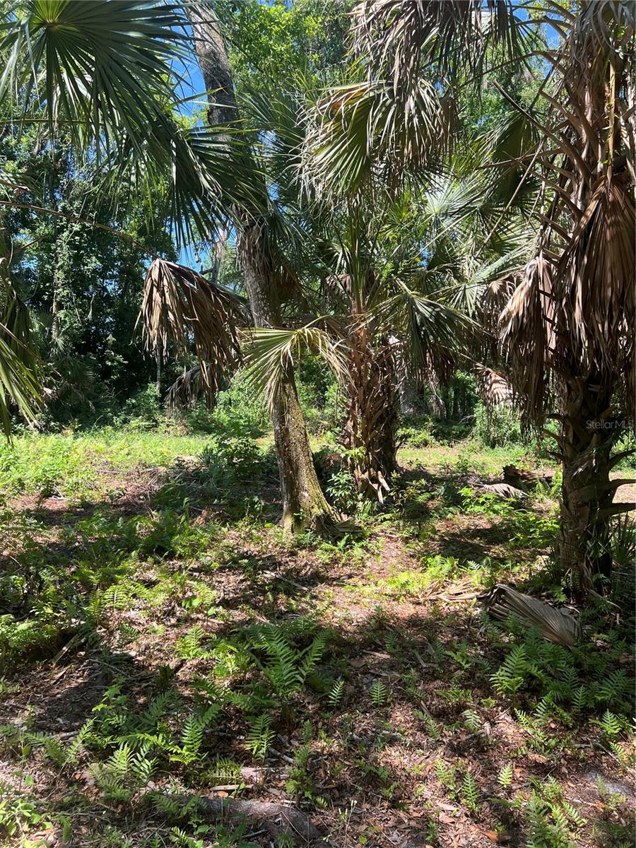 1735 TIMOCUAN WAY, LONGWOOD, FL, 32750