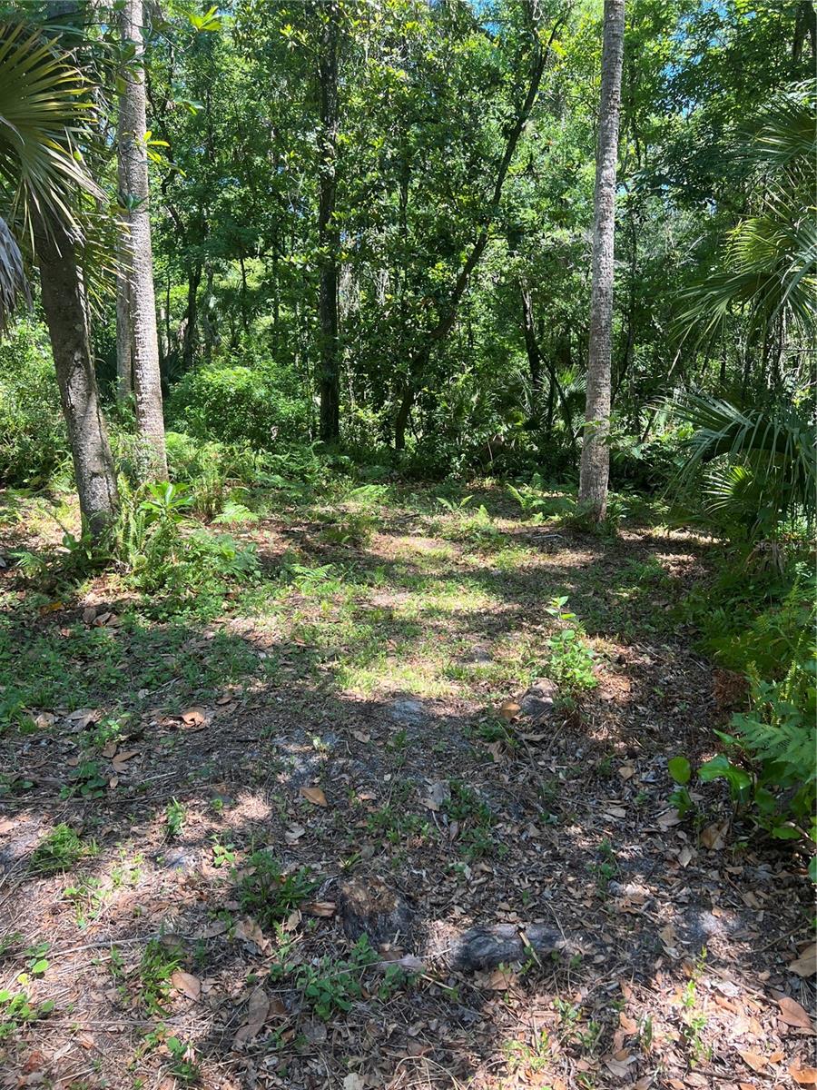 1735 TIMOCUAN WAY, LONGWOOD, FL, 32750