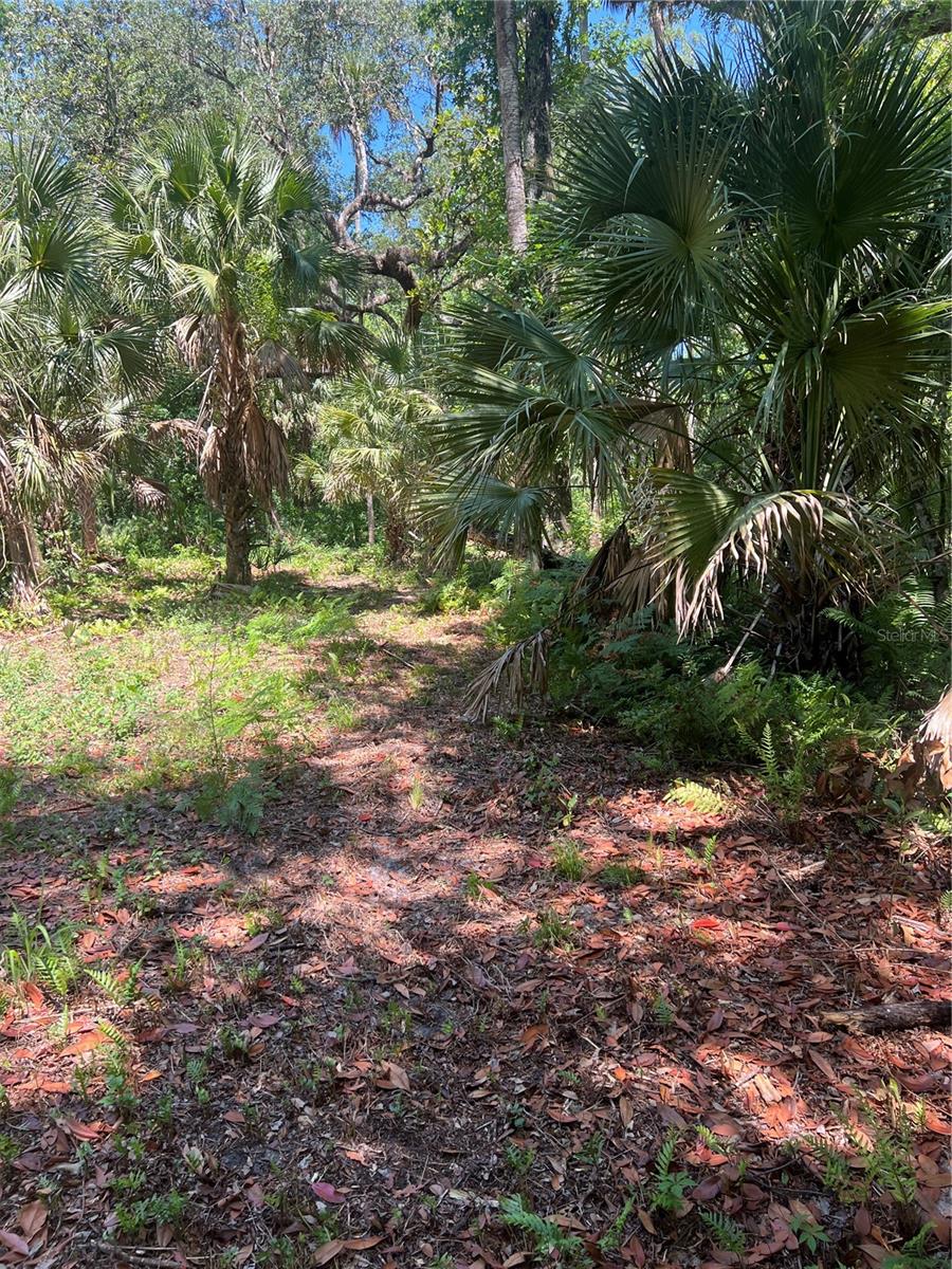 1735 TIMOCUAN WAY, LONGWOOD, FL, 32750