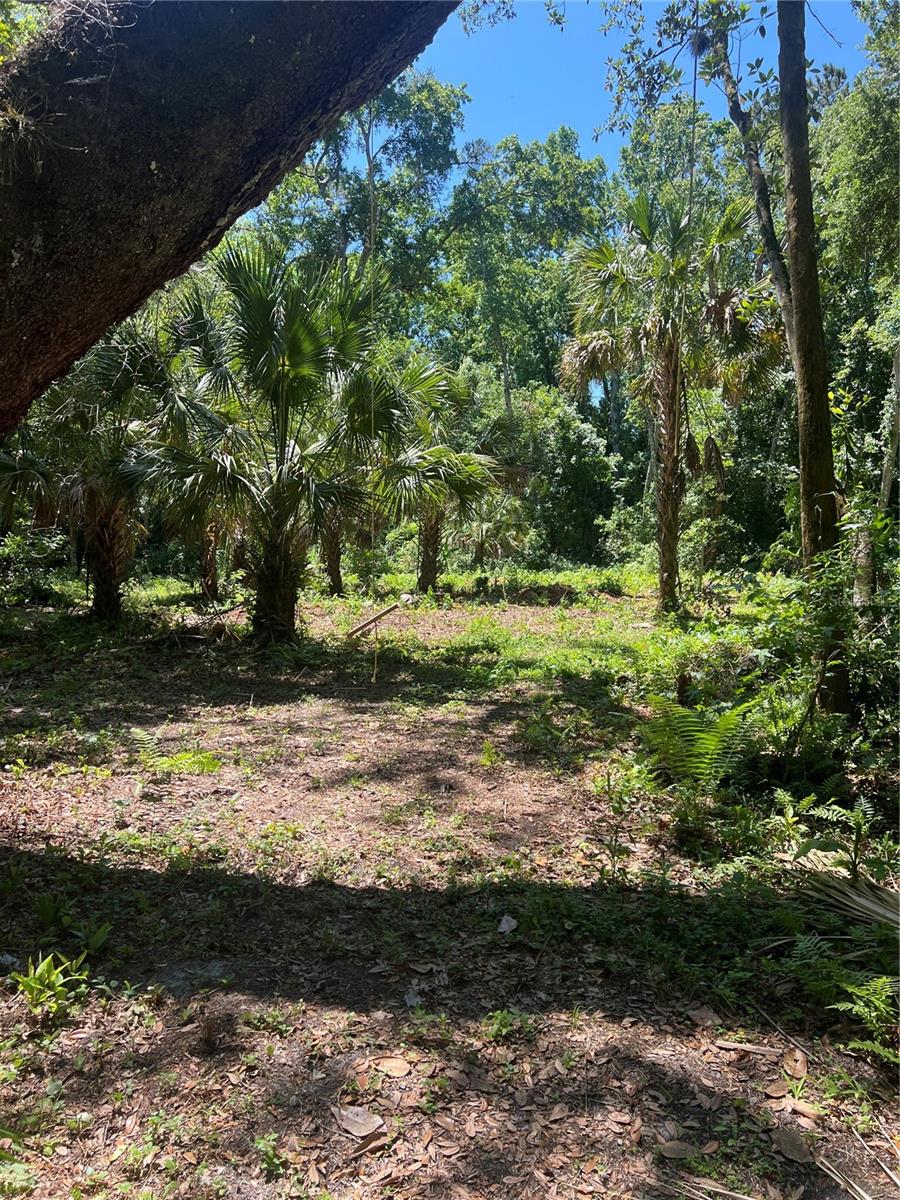 1735 TIMOCUAN WAY, LONGWOOD, FL, 32750