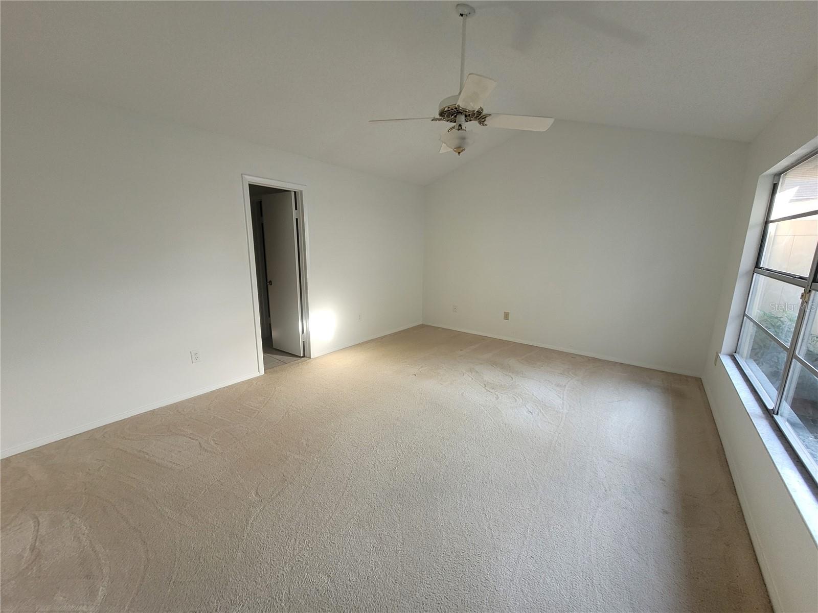 7125 SILVERMILL DR, TAMPA, FL, 33635