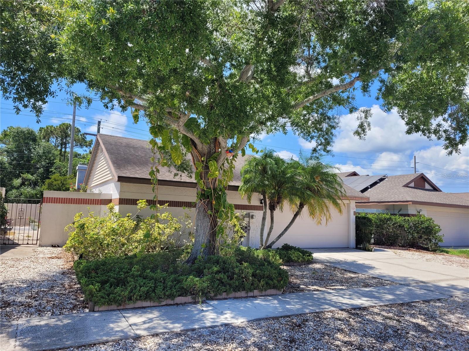 7125 SILVERMILL DR, TAMPA, FL, 33635