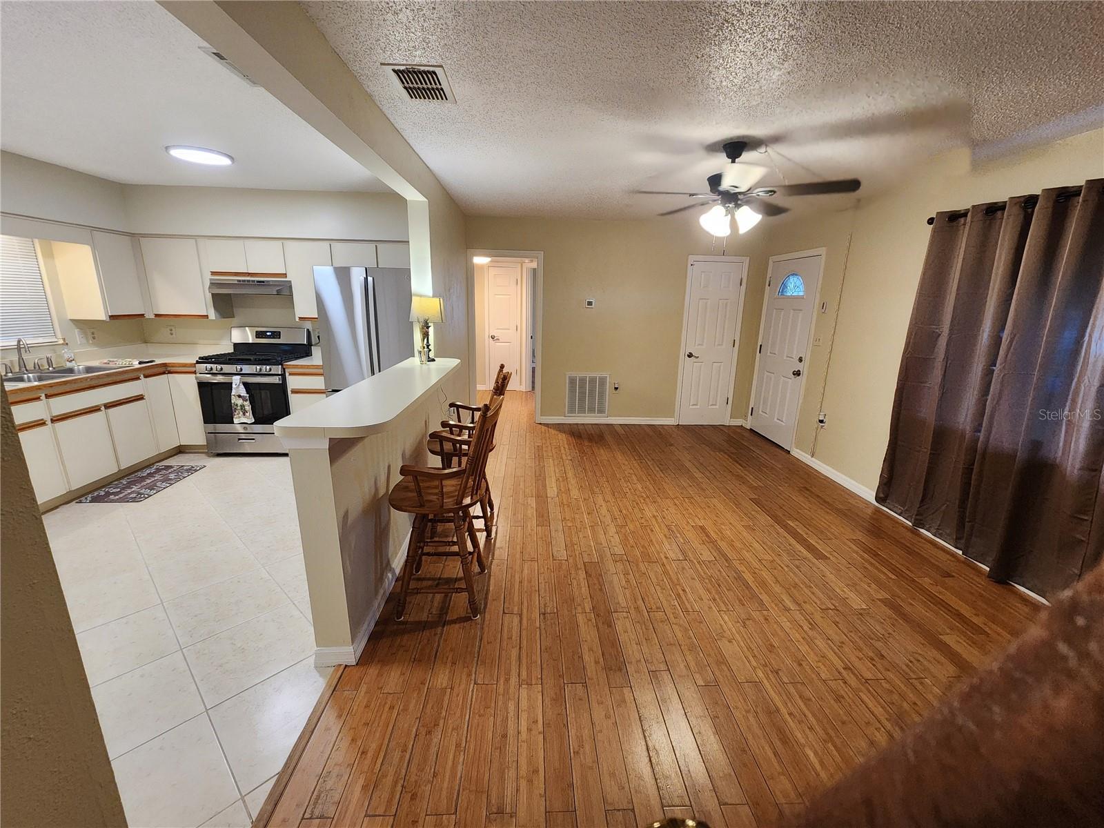 407 LOUIS ST, LEESBURG, FL, 34748