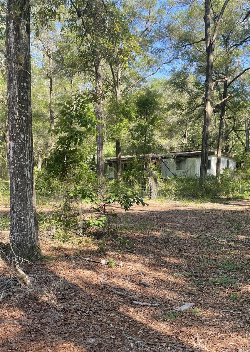 10390 SW 153RD LN, DUNNELLON, FL, 34432