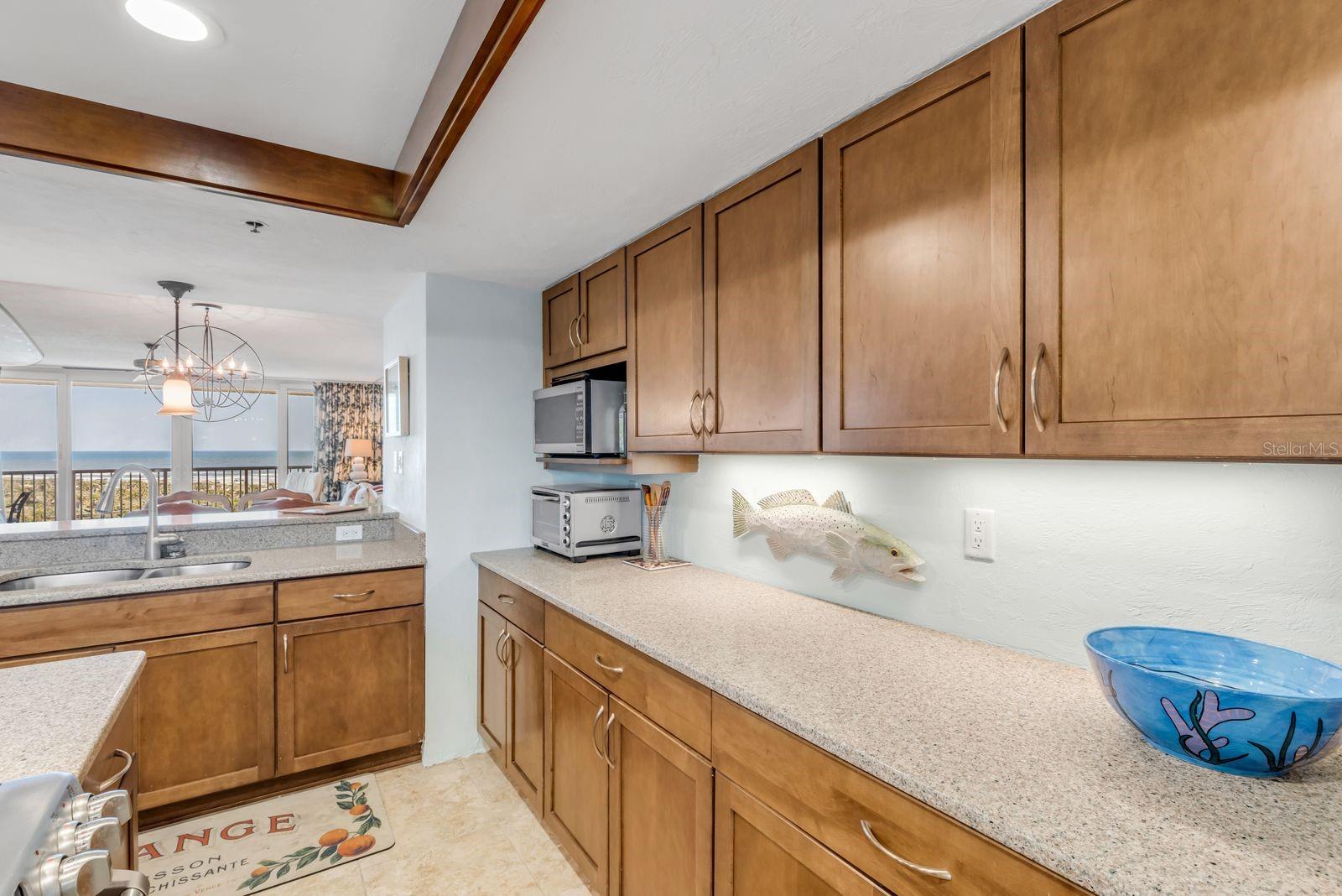 257 MINORCA BEACH WAY #504, NEW SMYRNA BEACH, FL, 32169