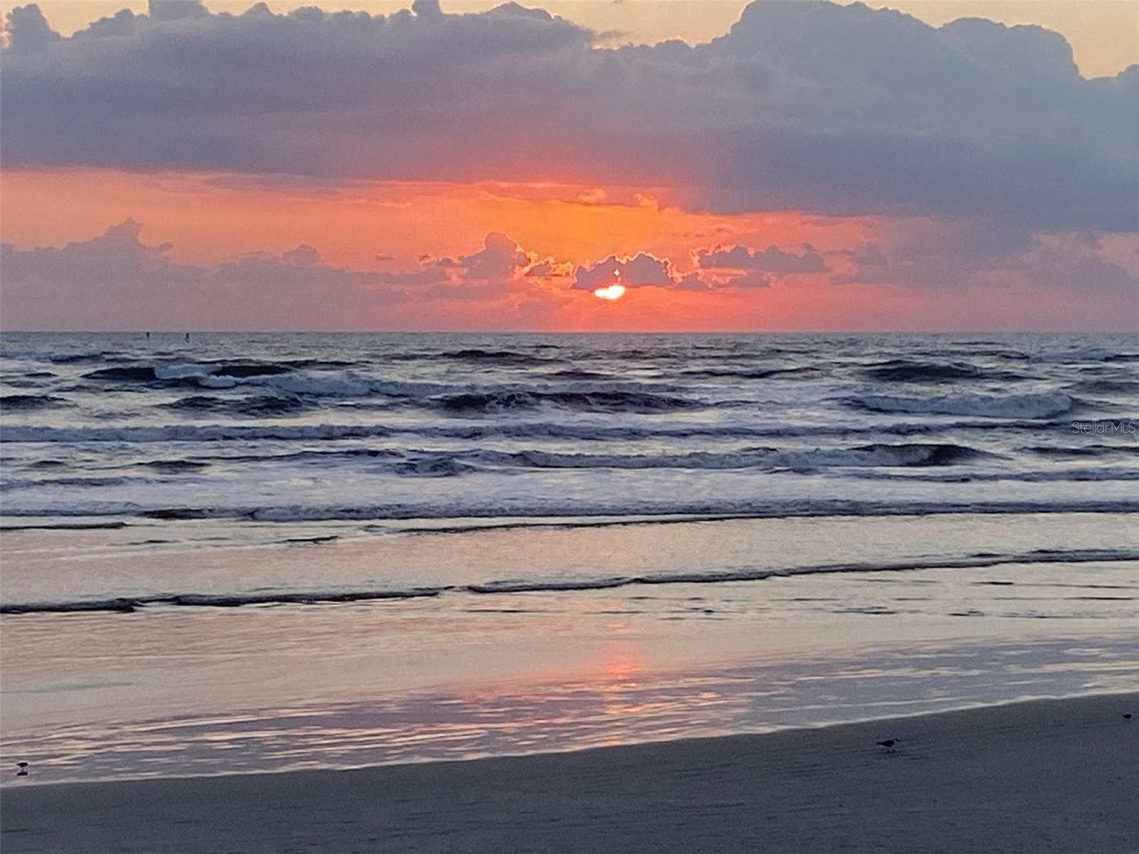 257 MINORCA BEACH WAY #504, NEW SMYRNA BEACH, FL, 32169