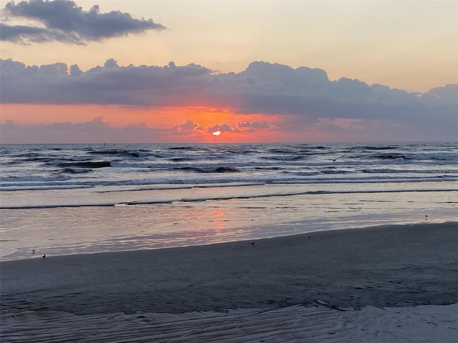 257 MINORCA BEACH WAY #504, NEW SMYRNA BEACH, FL, 32169