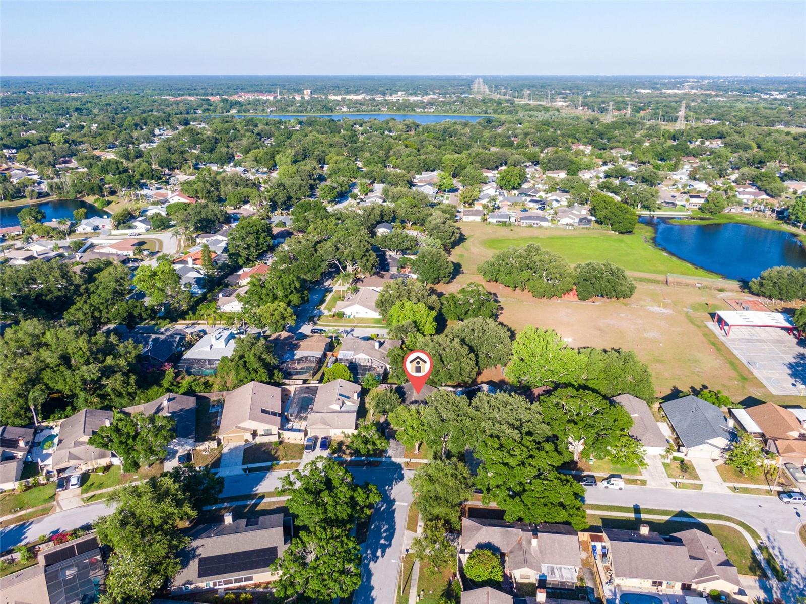 647 BONNIE BLVD, PALM HARBOR, FL, 34684