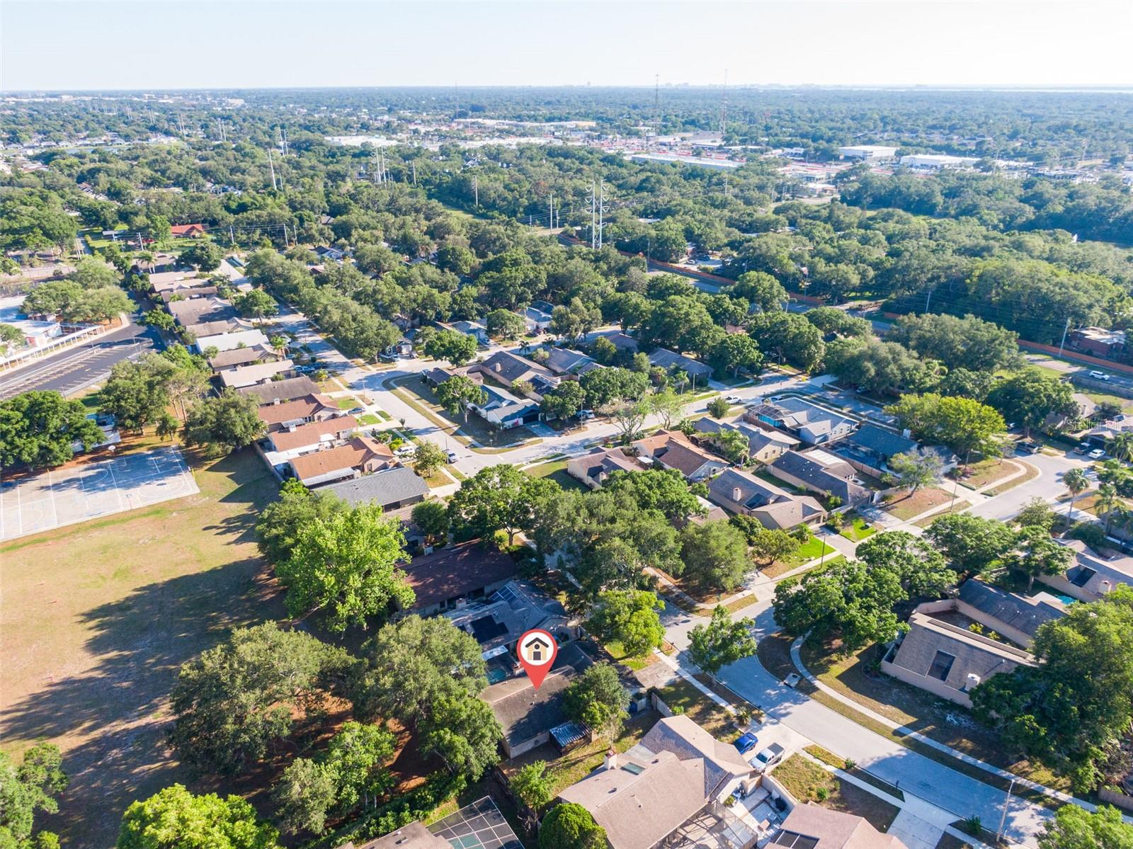 647 BONNIE BLVD, PALM HARBOR, FL, 34684