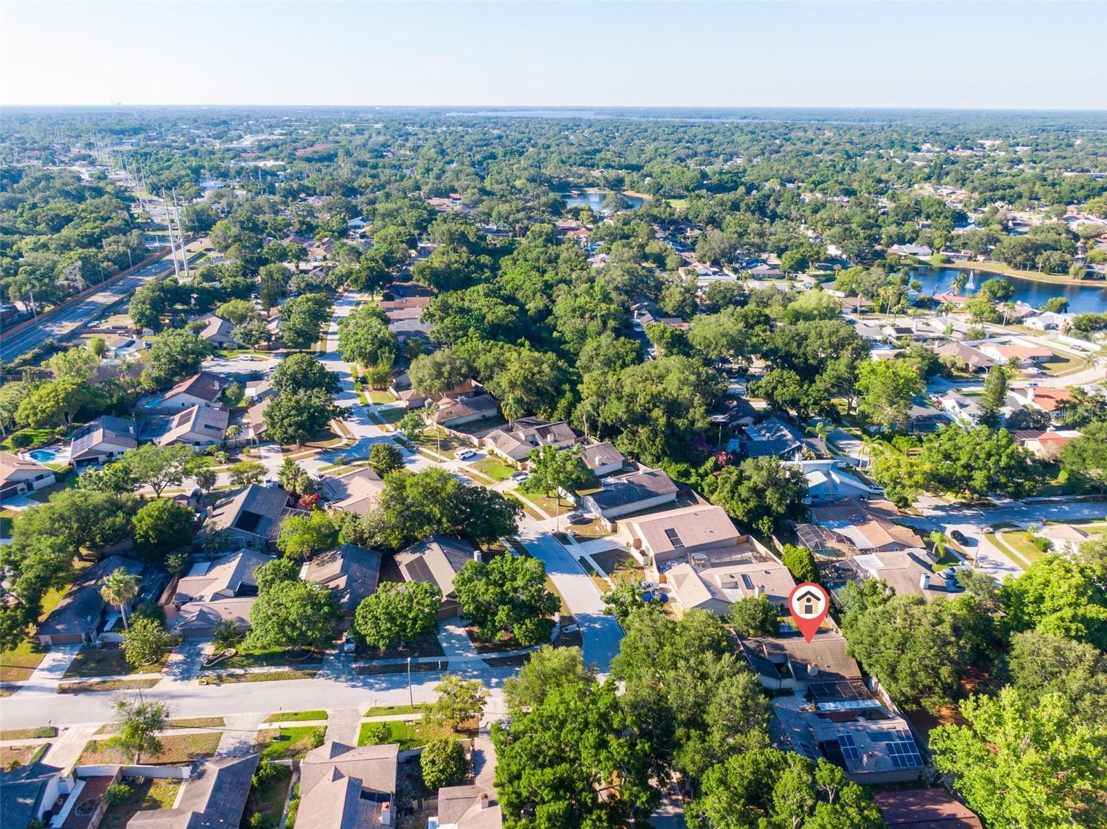 647 BONNIE BLVD, PALM HARBOR, FL, 34684