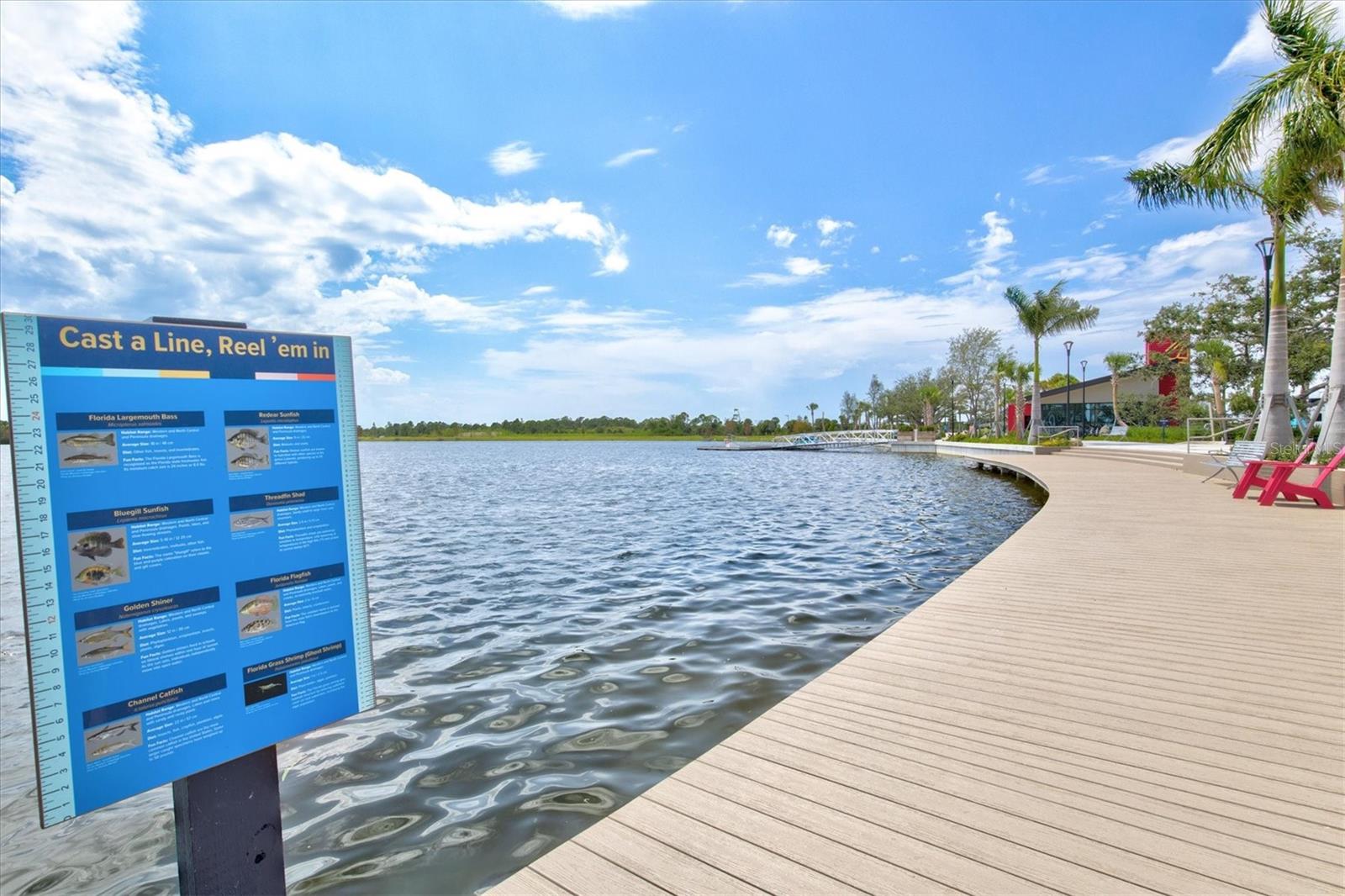 13913 ALAFAYA ST, VENICE, FL, 34293