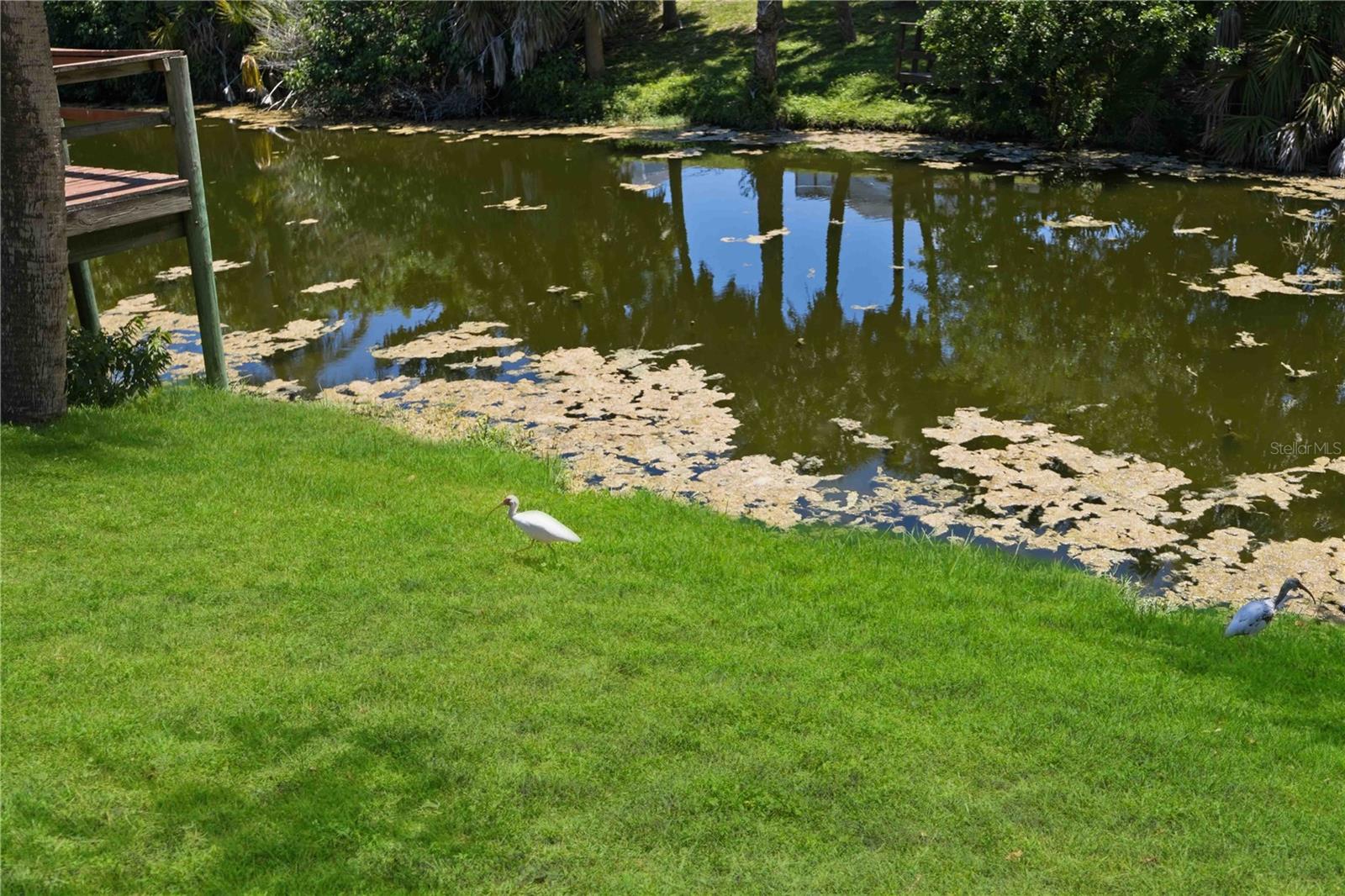 1314 YORKSHIRE ST, PORT CHARLOTTE, FL, 33952