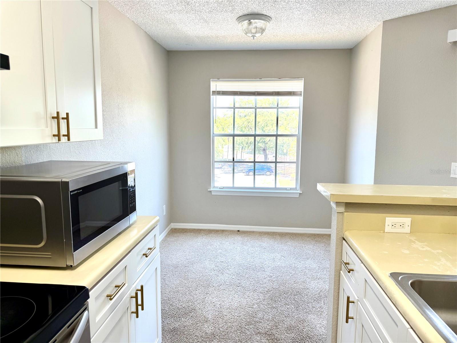 1017 S HIAWASSEE RD #3735, ORLANDO, FL, 32835
