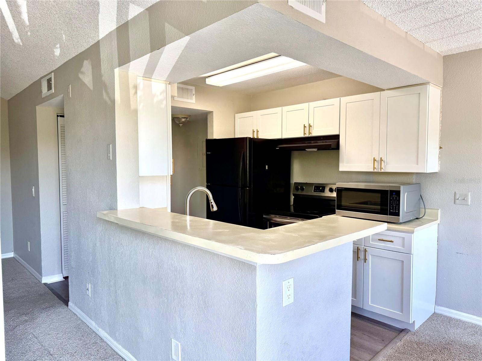 1017 S HIAWASSEE RD #3735, ORLANDO, FL, 32835