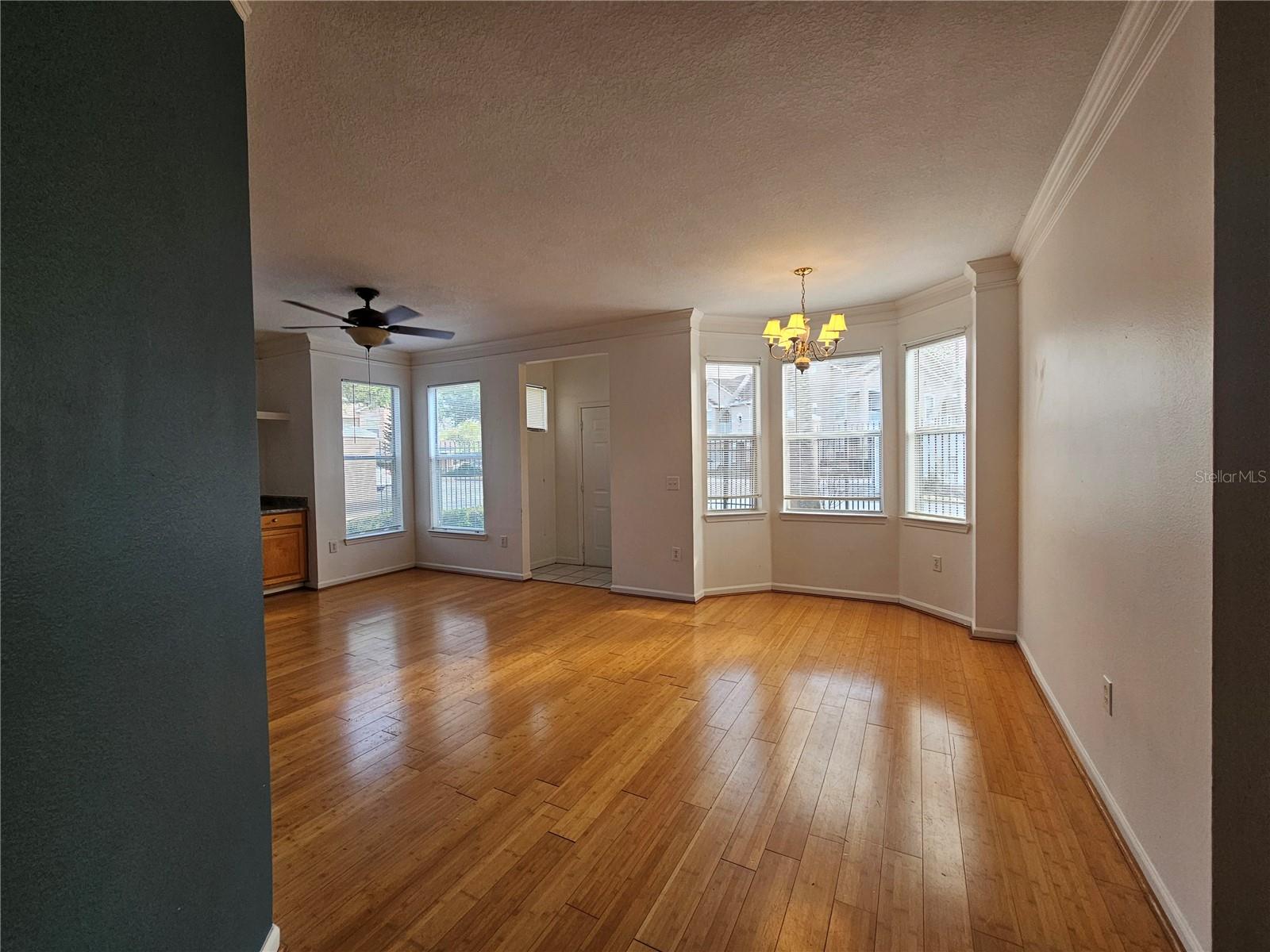 18058 VILLA CREEK DR #18058, TAMPA, FL, 33647