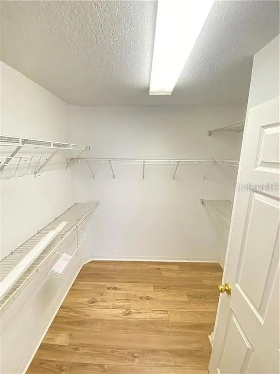 10013 OSLIN ST, TAMPA, FL, 33615