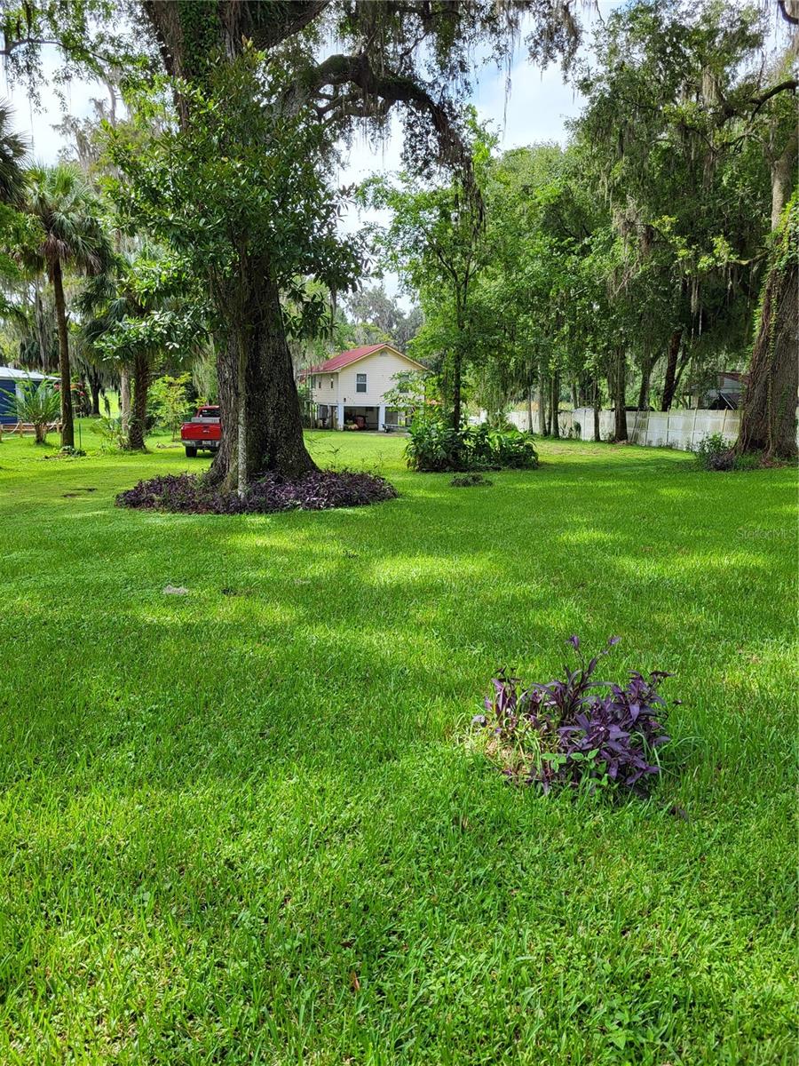 2377 NW 34TH PL, LAKE PANASOFFKEE, FL, 33538