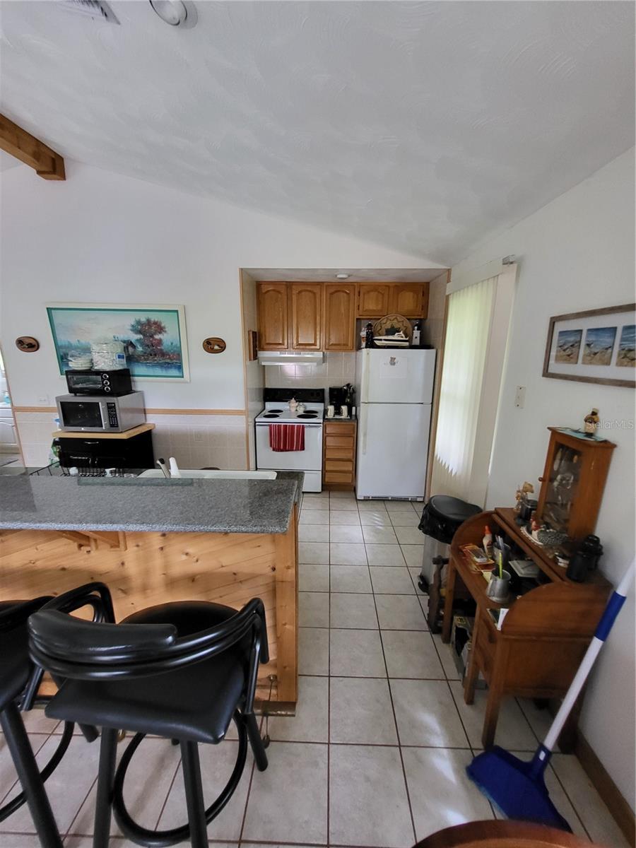 2377 NW 34TH PL, LAKE PANASOFFKEE, FL, 33538