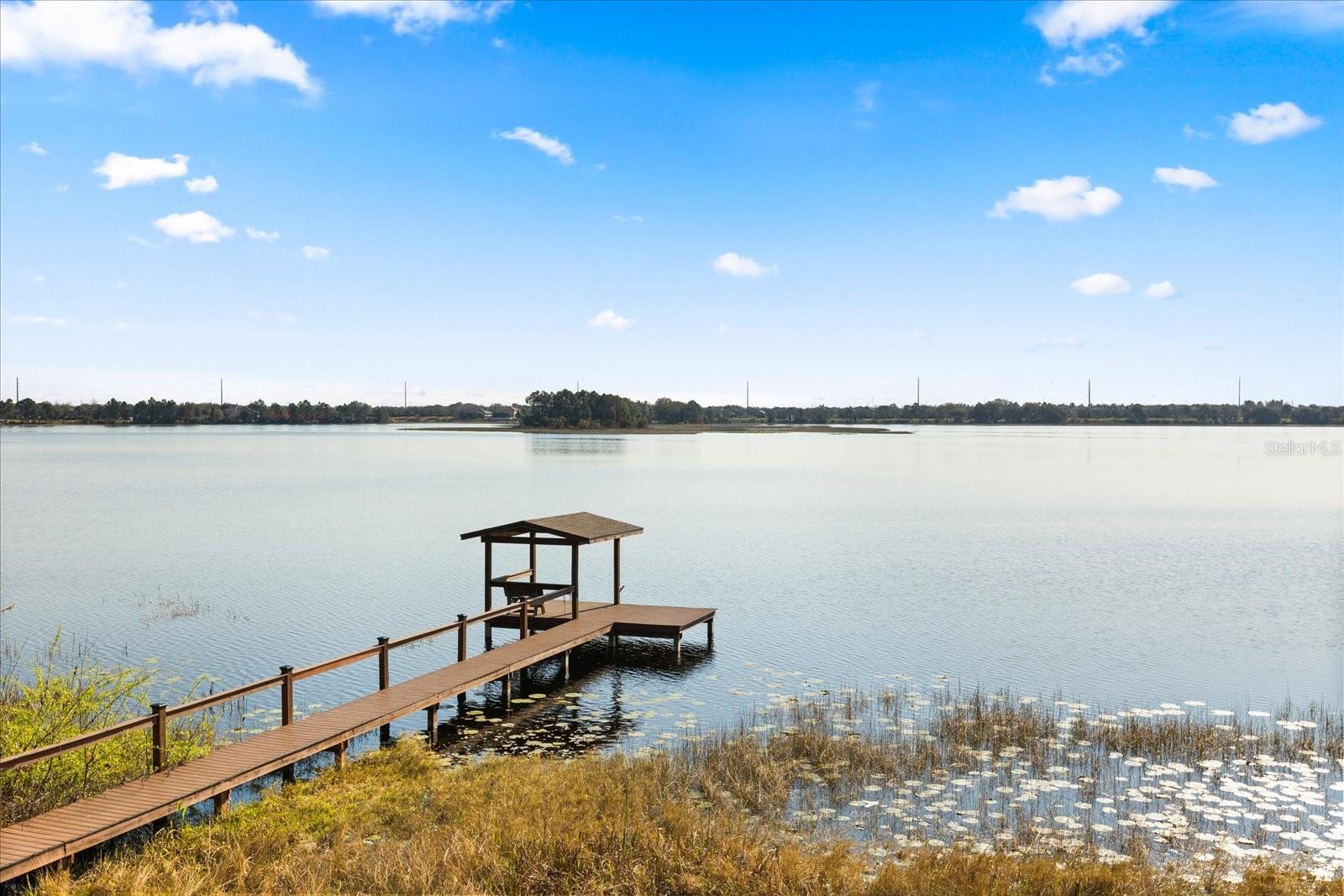 9354 LAKE HICKORY NUT DR, WINTER GARDEN, FL, 34787