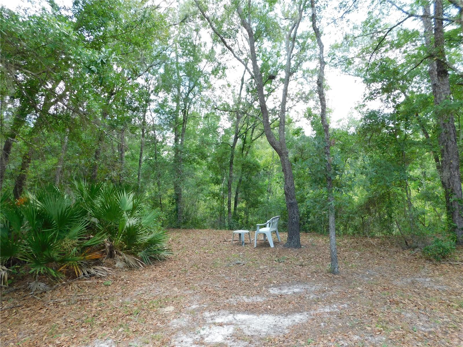7808 W DROVER ST, HOMOSASSA, FL, 34446