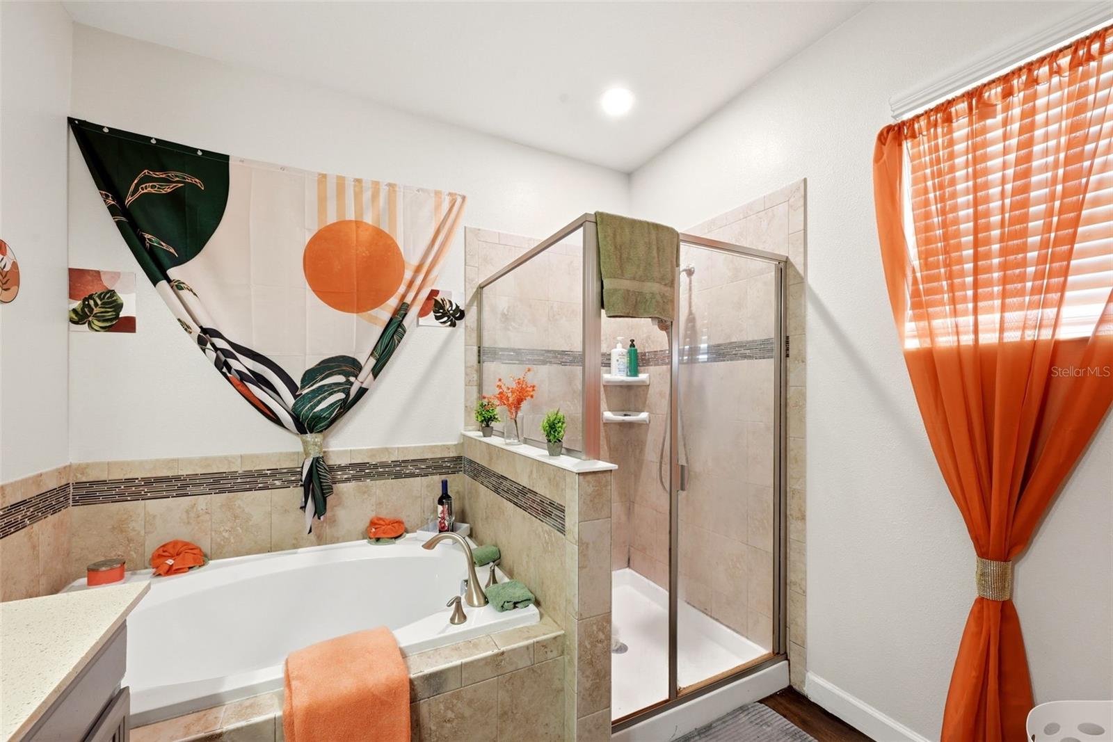 15111 DRIFTWOOD BEND ST, WINTER GARDEN, FL, 34787