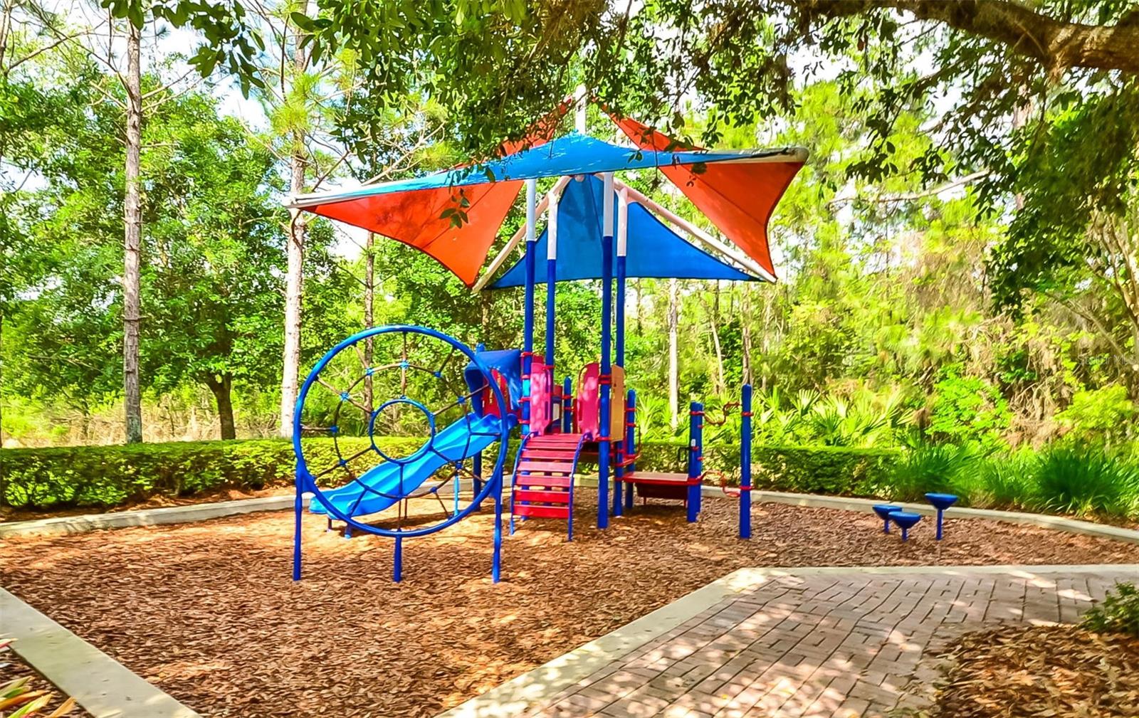 15111 DRIFTWOOD BEND ST, WINTER GARDEN, FL, 34787