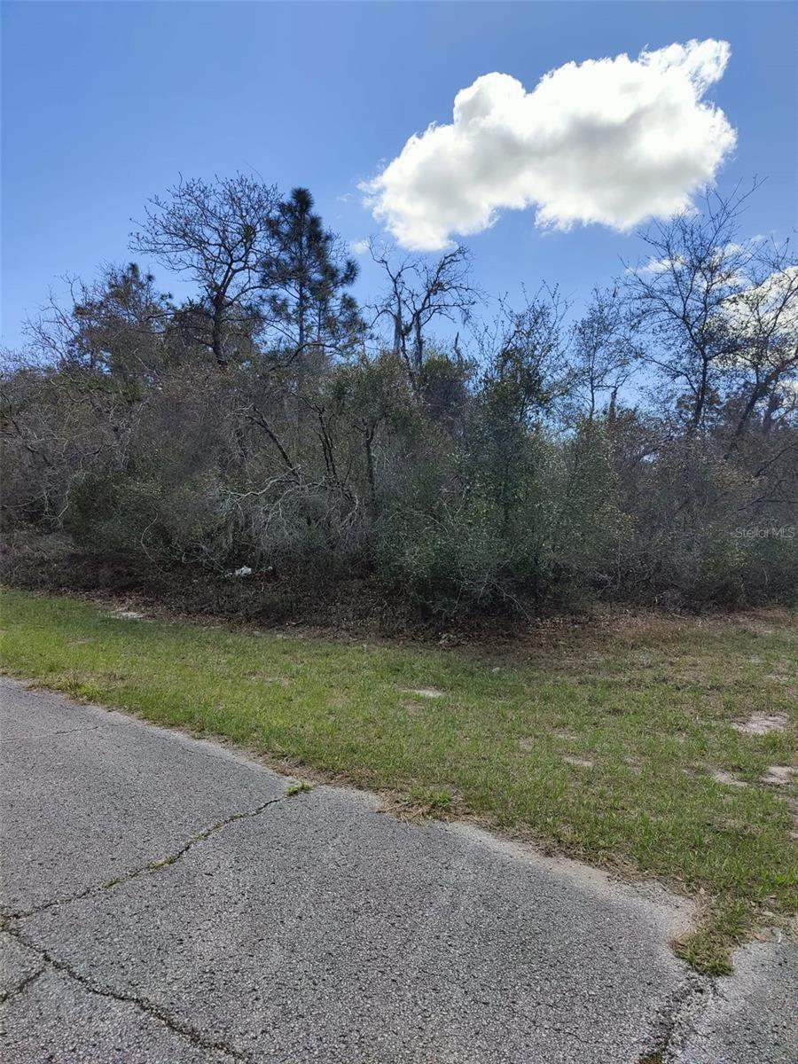 408 VERNON CT, KISSIMMEE, FL, 34759
