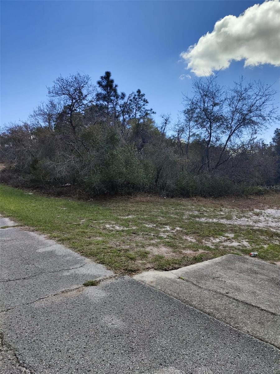 408 VERNON CT, KISSIMMEE, FL, 34759