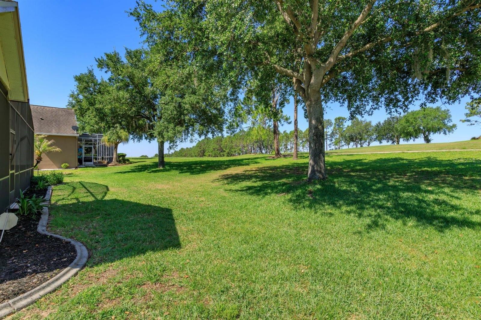 4328 FAWN MEADOWS CIR, CLERMONT, FL, 34711