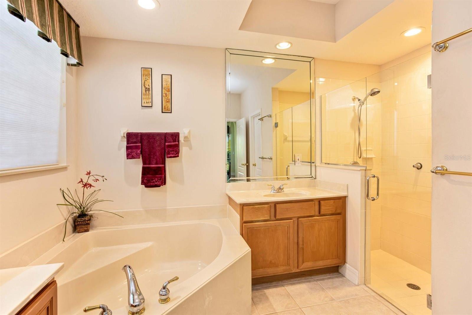 4328 FAWN MEADOWS CIR, CLERMONT, FL, 34711