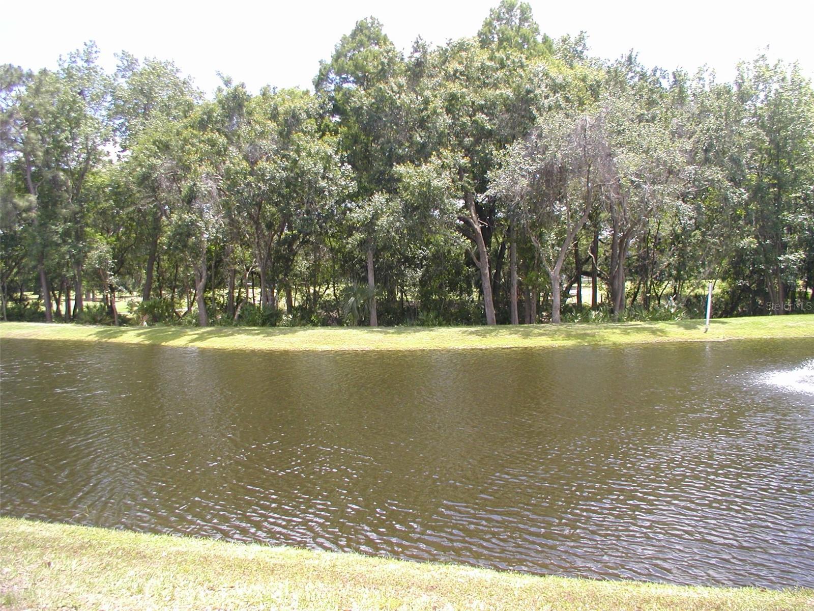 3952 ELVIRA CT, NEW PORT RICHEY, FL, 34655