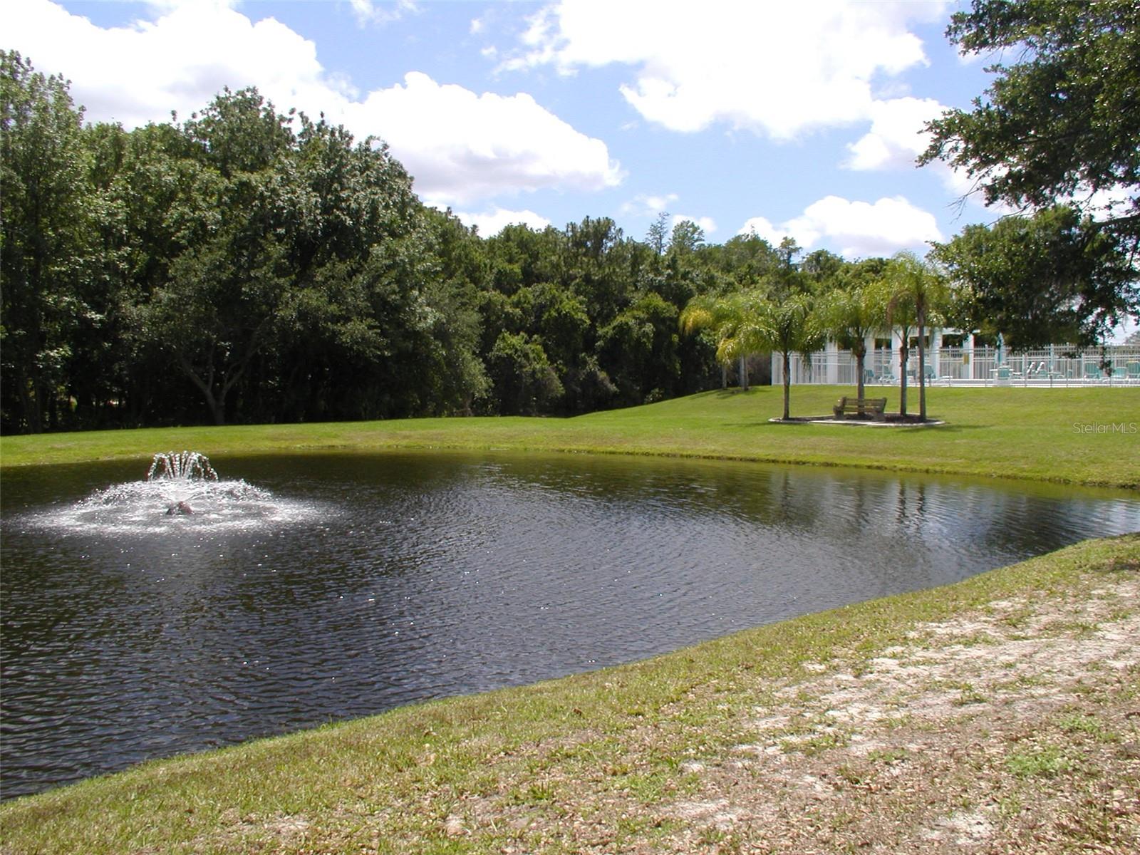 3952 ELVIRA CT, NEW PORT RICHEY, FL, 34655