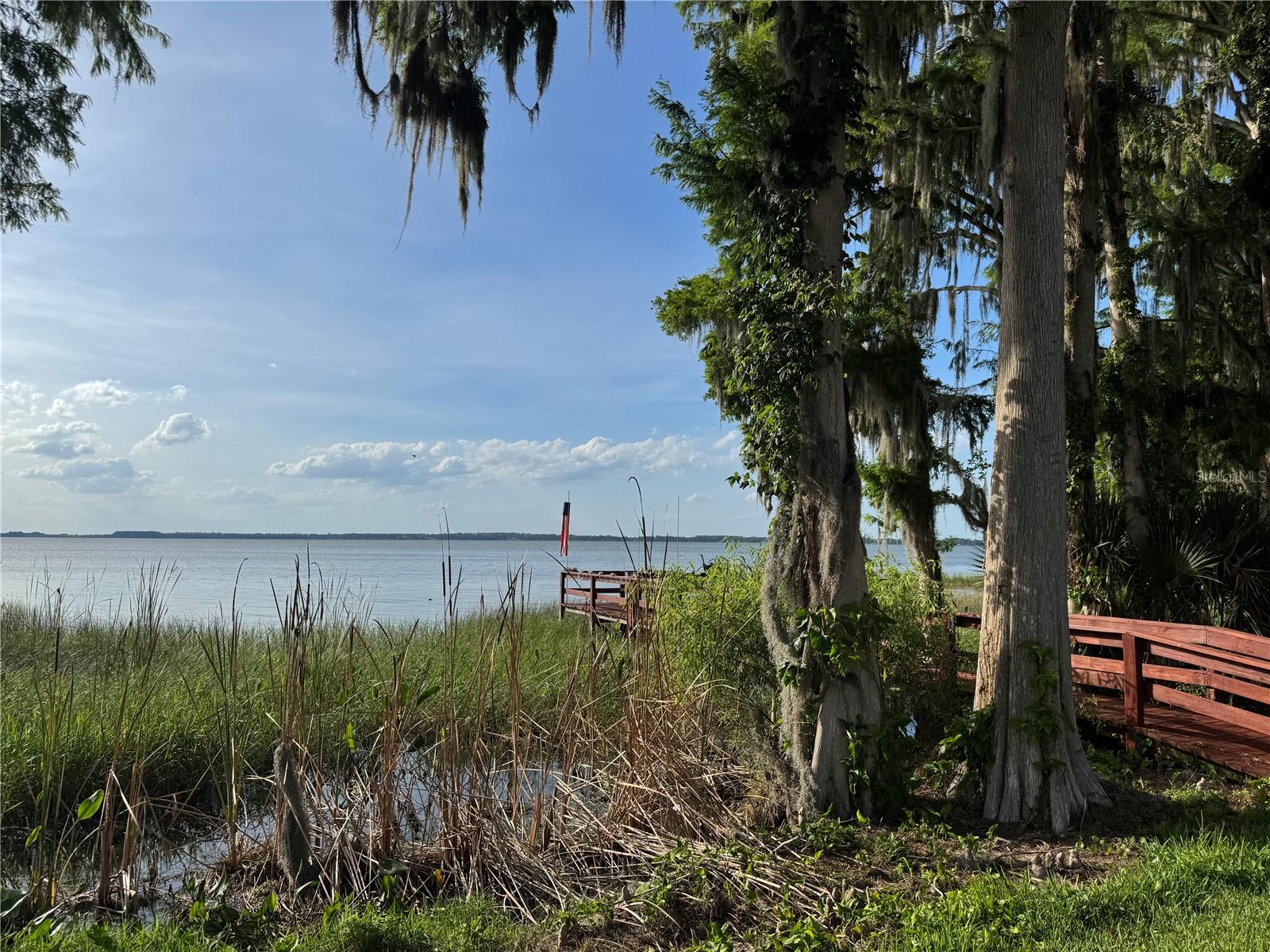 39 FOREST LN, EUSTIS, FL, 32726