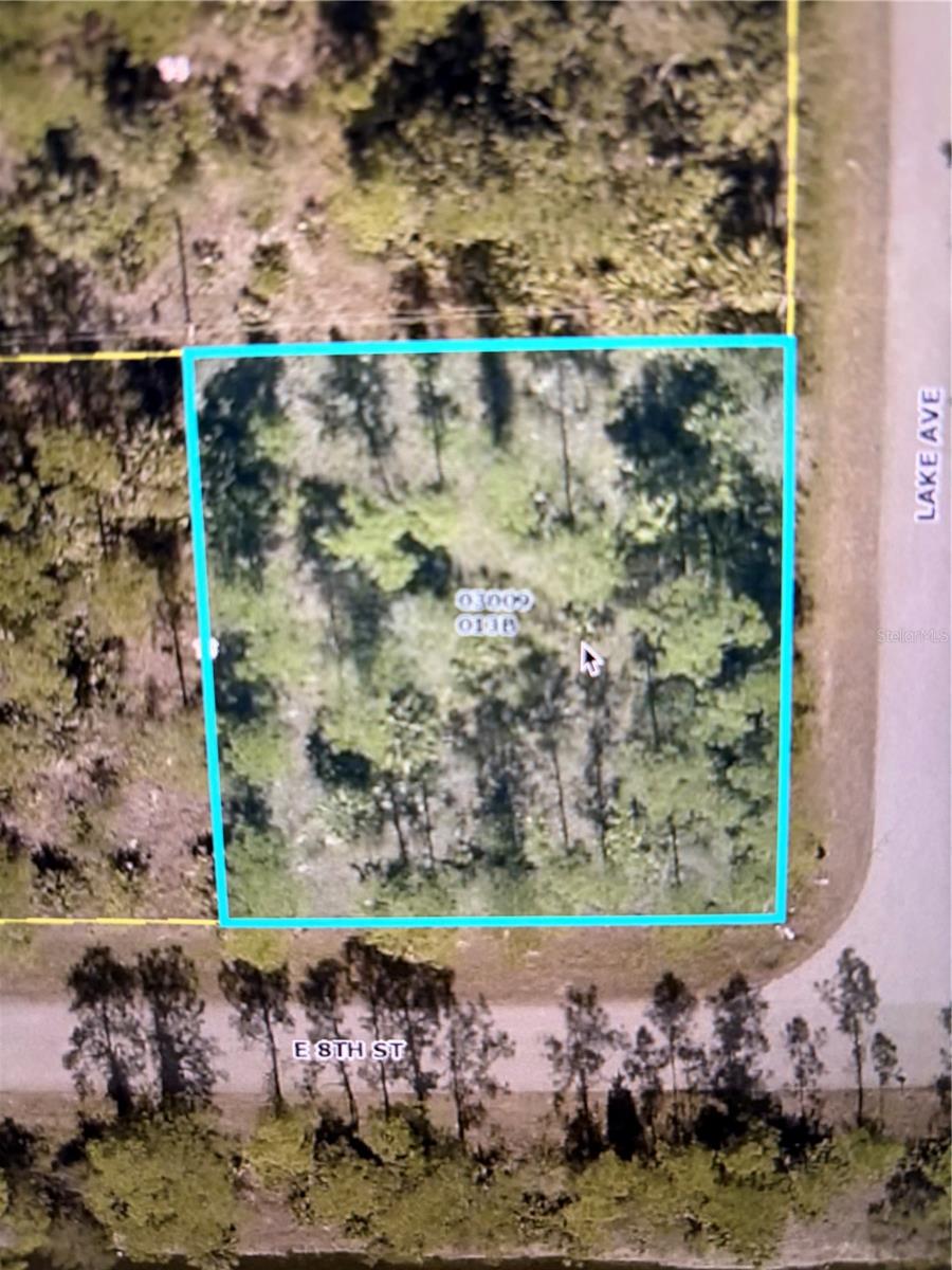 807 E 8TH ST, LEHIGH ACRES, FL, 33972