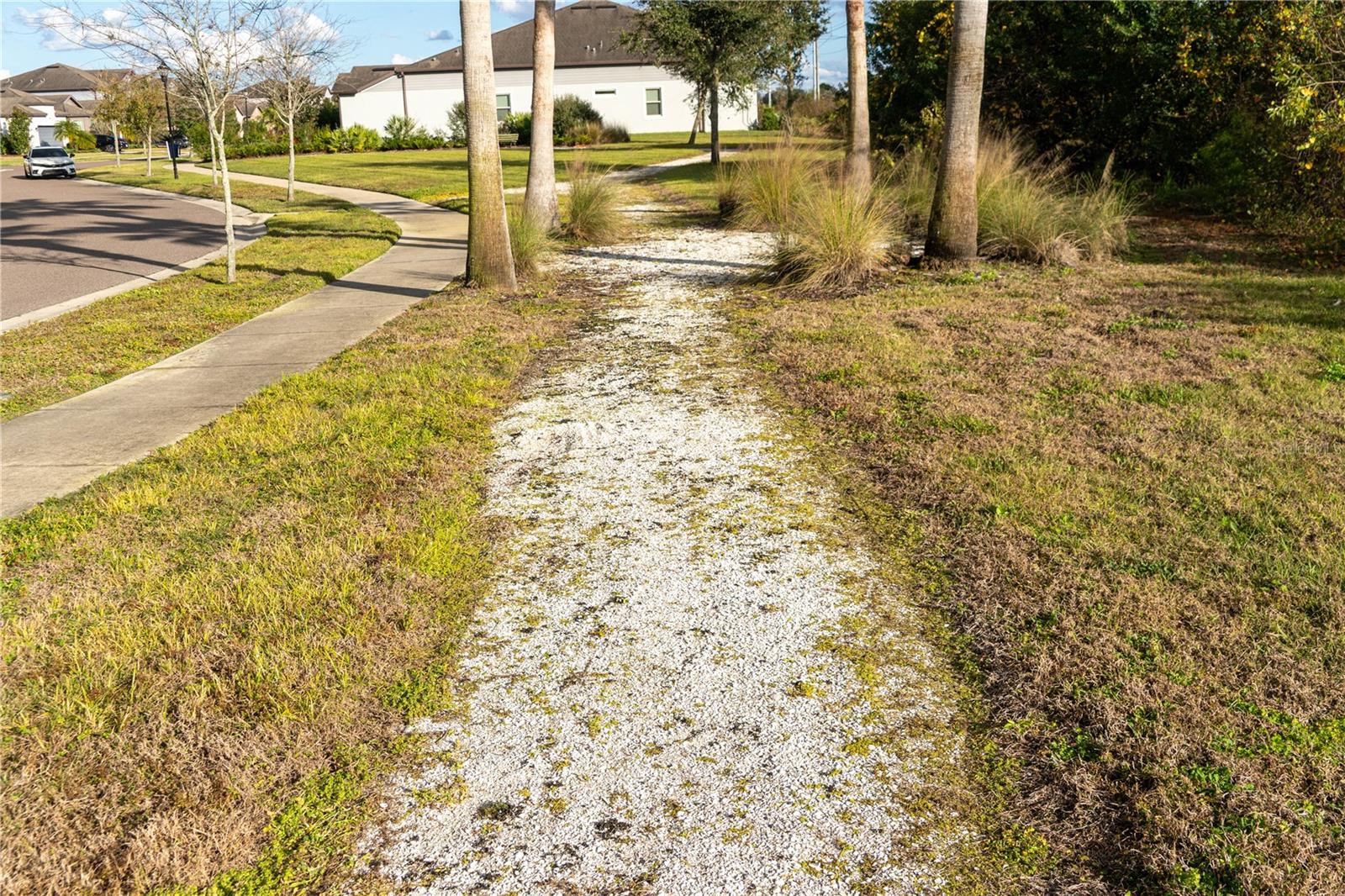 13415 WHITE SAPPHIRE RD, RIVERVIEW, FL, 33579
