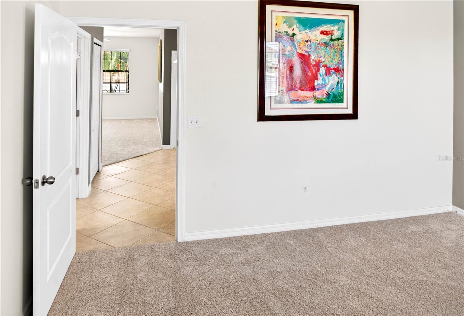 13415 WHITE SAPPHIRE RD, RIVERVIEW, FL, 33579