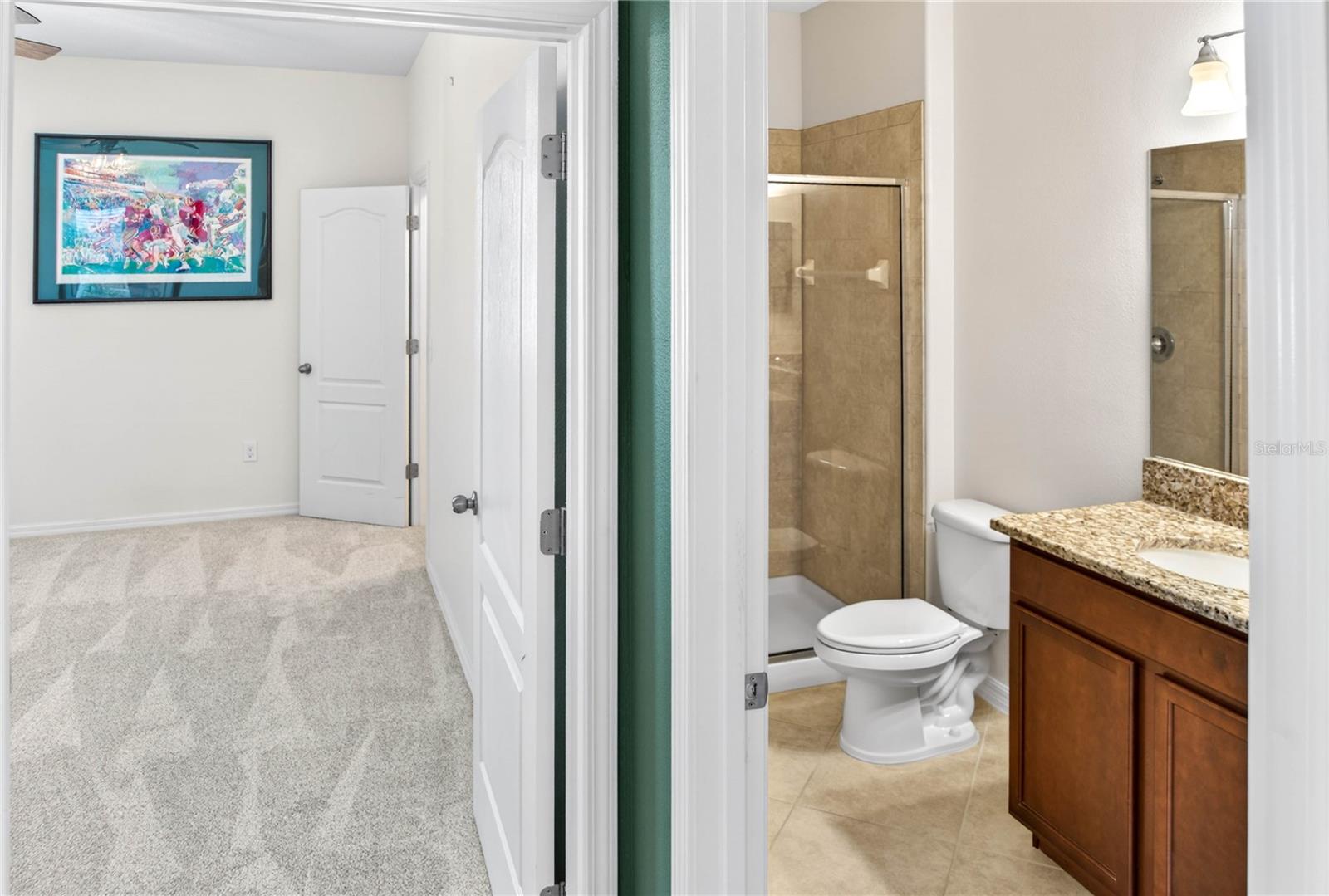 13415 WHITE SAPPHIRE RD, RIVERVIEW, FL, 33579