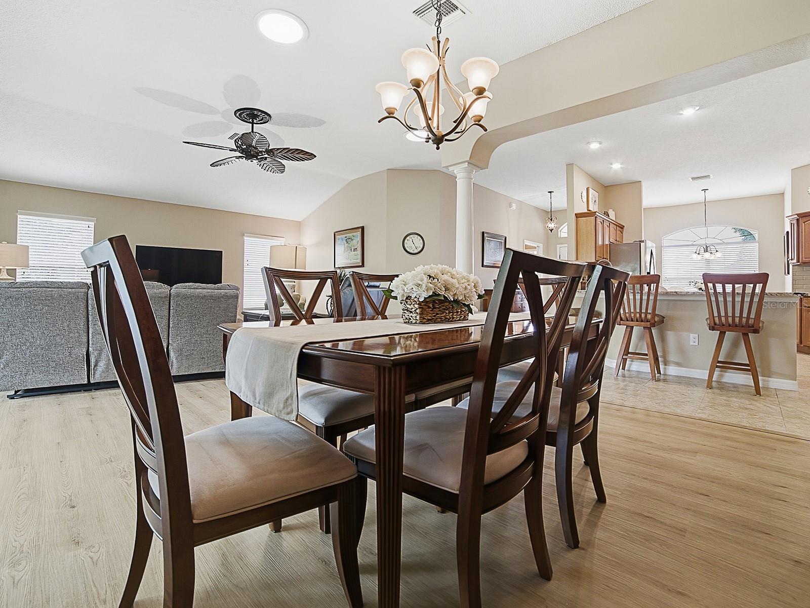 2246 DARLINGTON DR, THE VILLAGES, FL, 32162