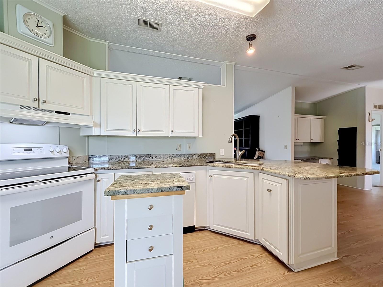 1666 ELKHART CIR, TAVARES, FL, 32778