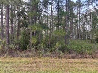 310&312 (BLK LOTS 5&6) ALBA DR, INDIAN LAKE ESTATES, FL, 33855