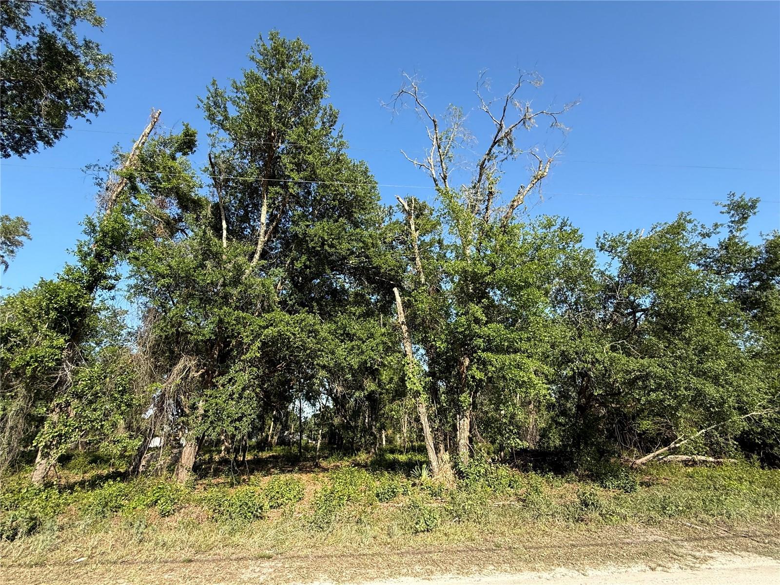 null OWENS DR, ZEPHYRHILLS, FL, 33540