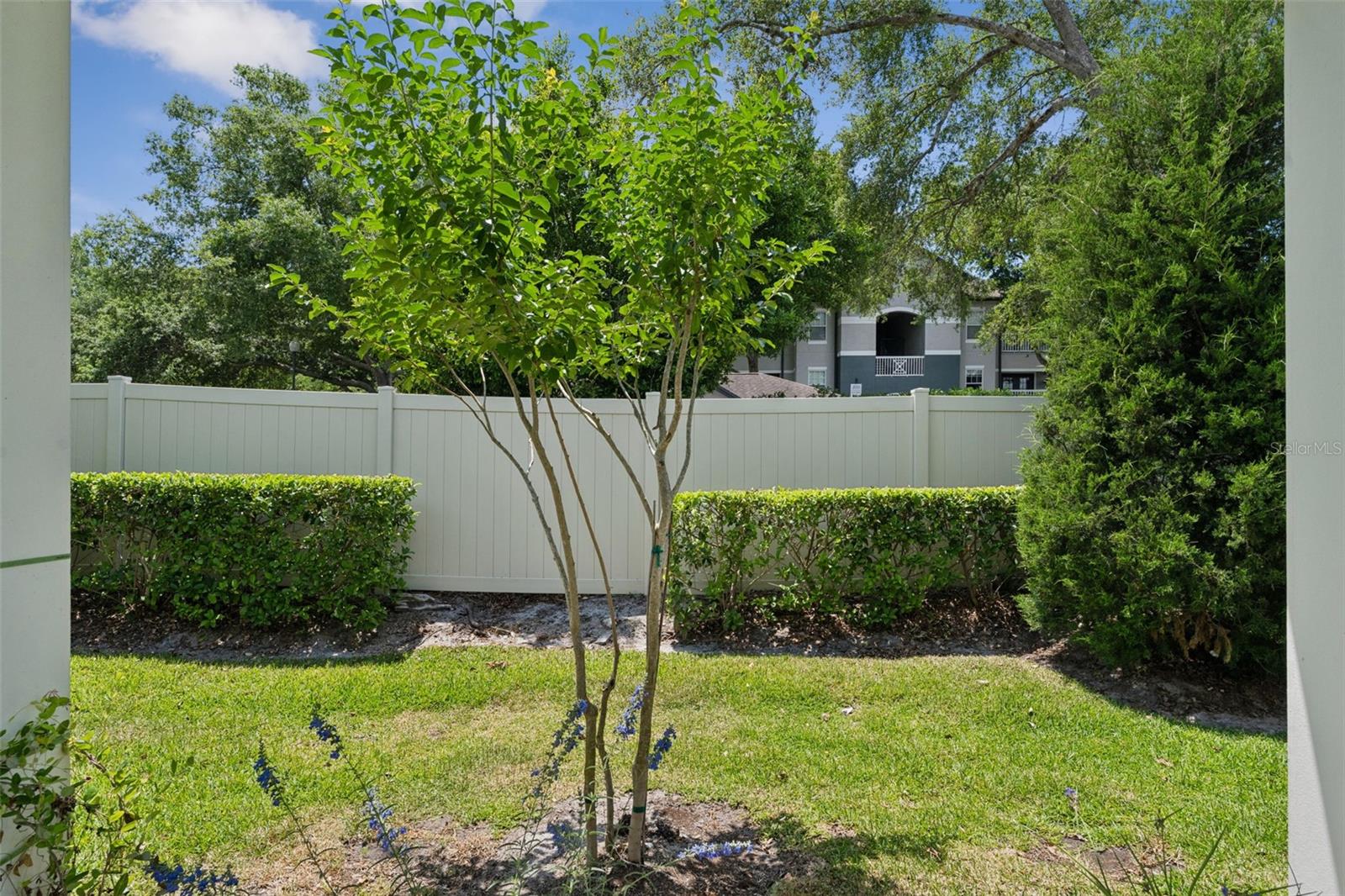 1995 CANNY CV, WINTER PARK, FL, 32792