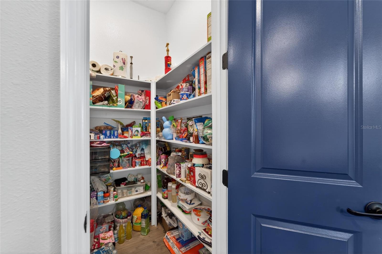 5313 DEL CORONADO DR, APOLLO BEACH, FL, 33572