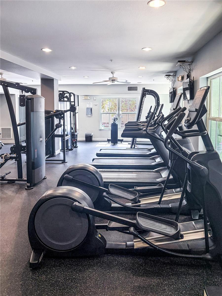 202 E SOUTH ST #1044, ORLANDO, FL, 32801